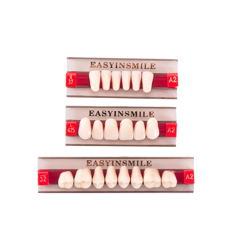 Thumbnail 2 - #18 Latest Dental Teaching Models Offers
