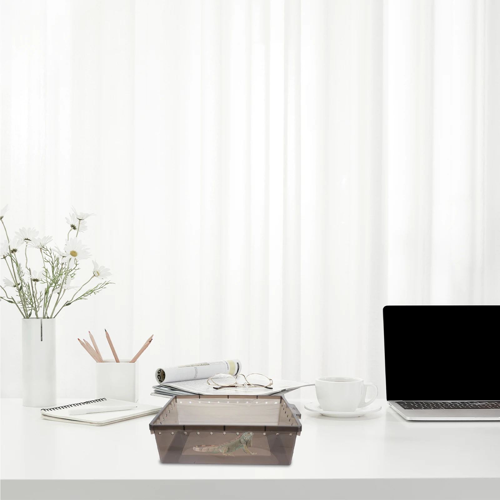 

Plastic Reptiles Feeding Box 30X20X15Cm Transparent Breathable Spider Hatching Container Lizard Display Box Frog Feeding