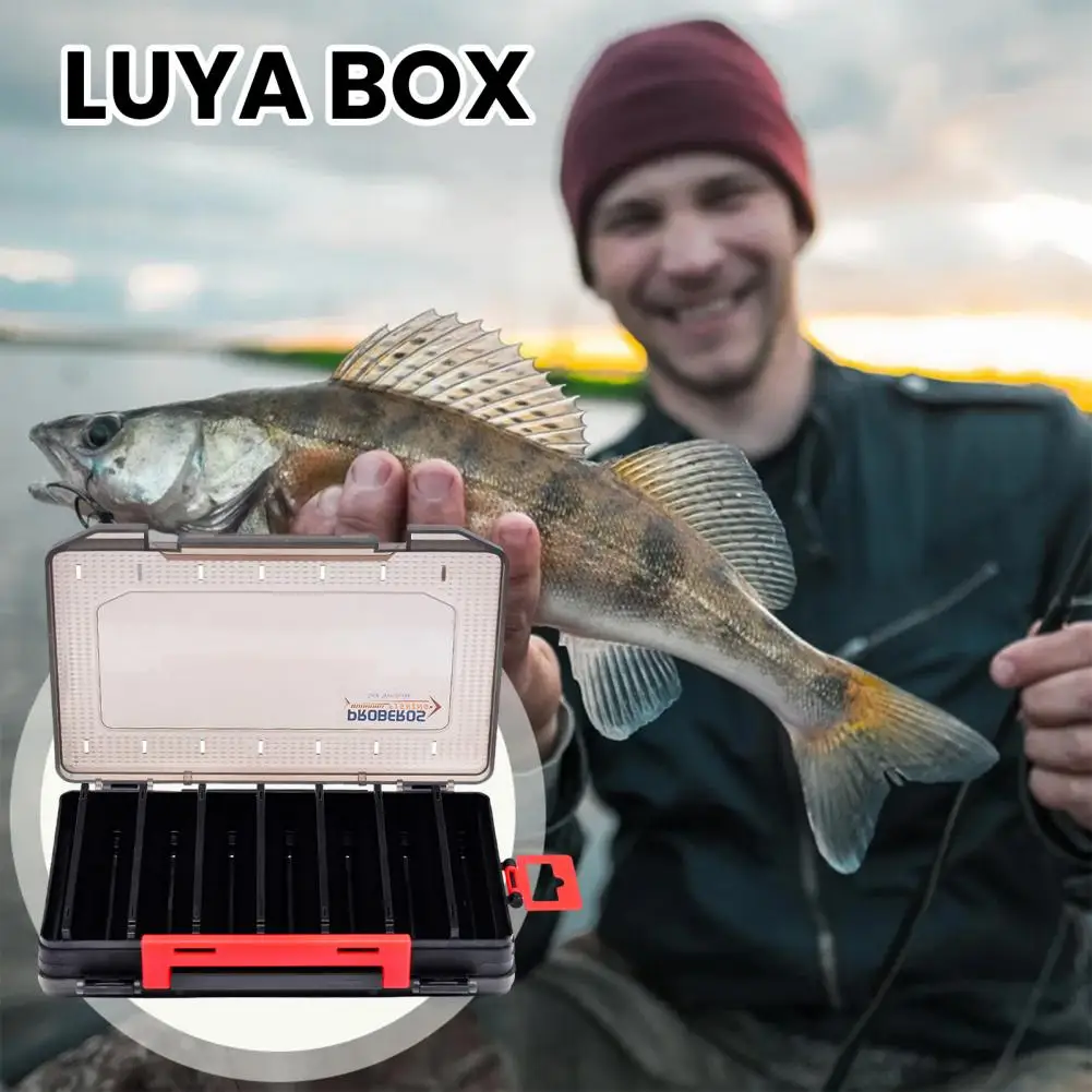 Fishing Bait Storage Box Fishing Accessories Capacity Double Layer Fishing Lure Box with Transparent Lid for Bait Tackle