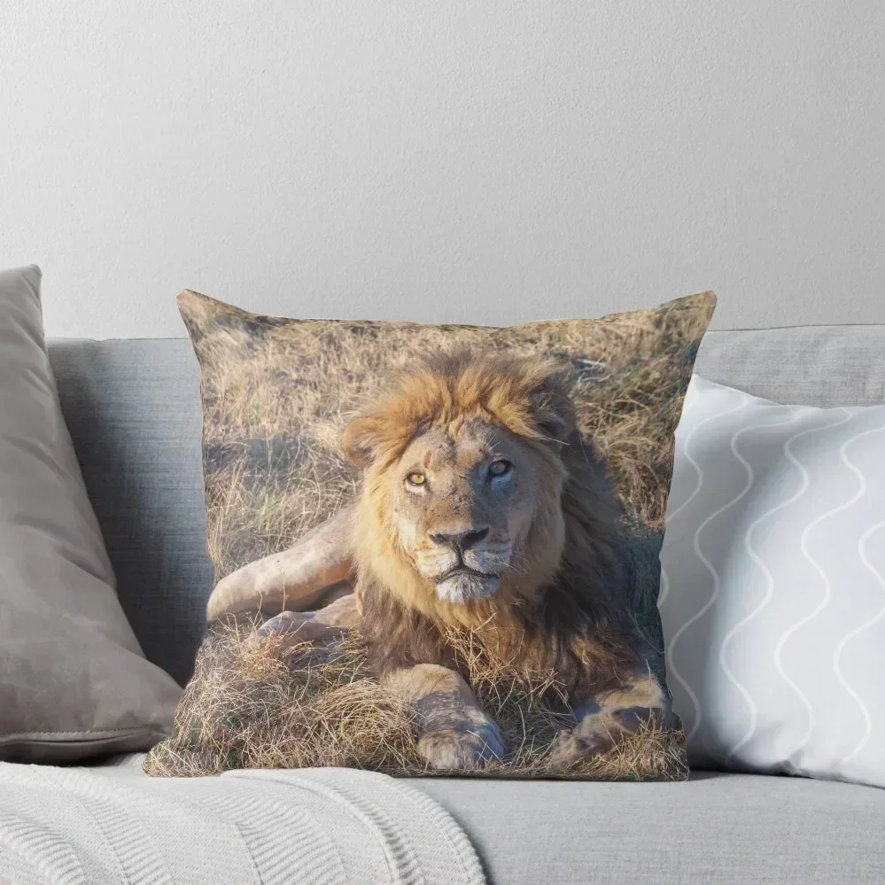 Lion laying down in the morning sun Throw Pillow Marble Cushion Cover christmas ornaments 2025 pillow