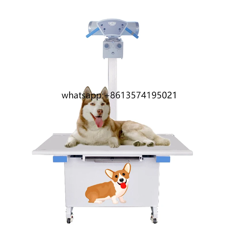 

X Ray Machine Veterinary for Pet Clinics Cats and Dogs Factory Self-produced Veterinary X Ray Machine