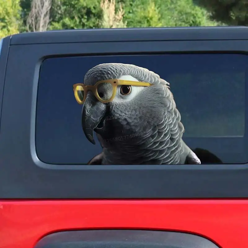 African Gray Parrot Car Sticker Waterproof Vinyl Decal Bumper Rear Window Laptop Self-adhesive Decal For Car Accessories SH189