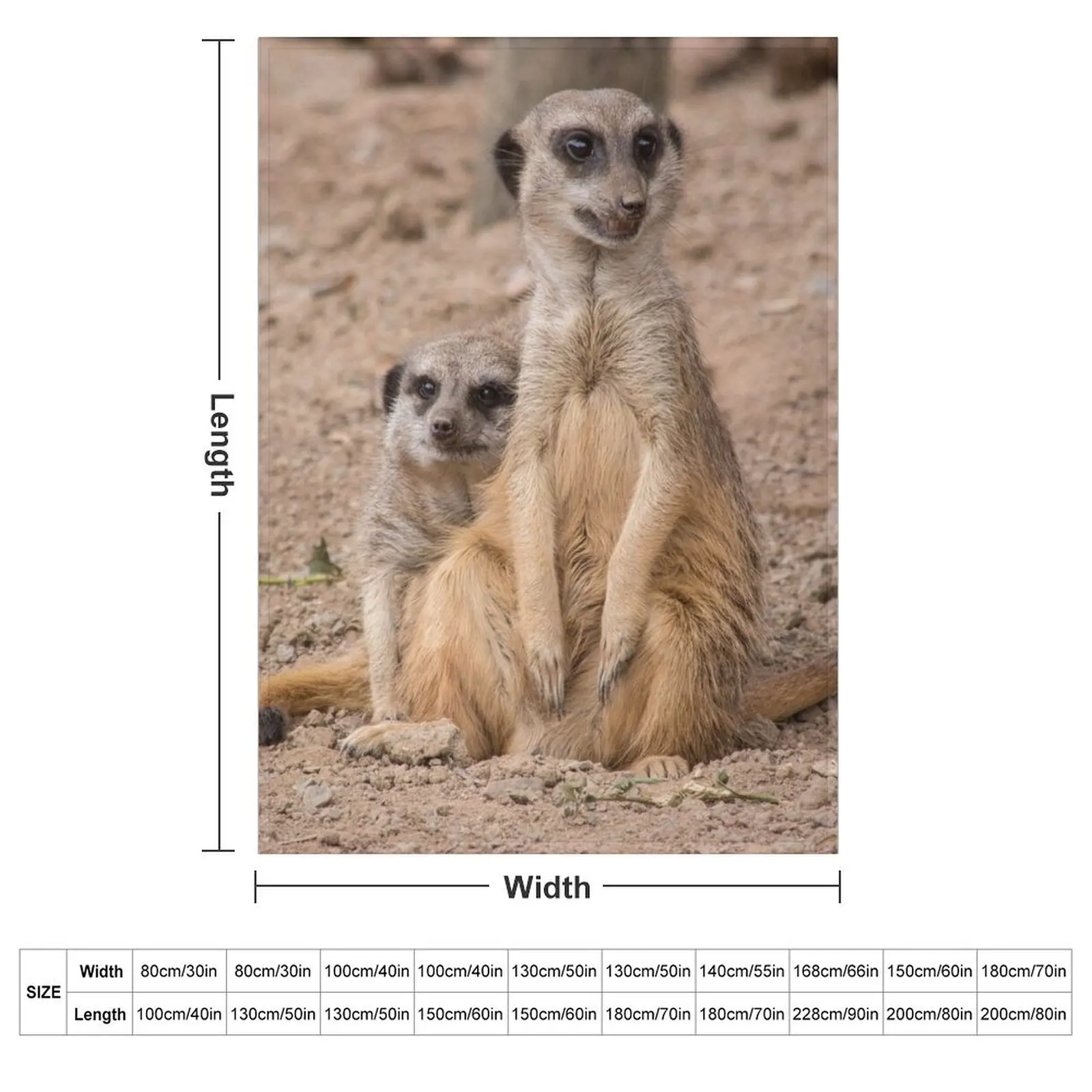 African animals Male and Female Meerkats Throw Blanket Summer Custom for sofa Decorative Throw Thermal Blankets