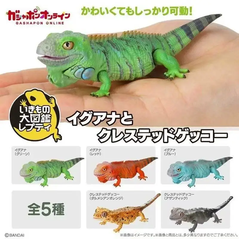 

Japanese Genuine Gacha Scale Model Biological Cognitive Model Mini Eyelash Gecko Lizard Larva Action Figure Toys