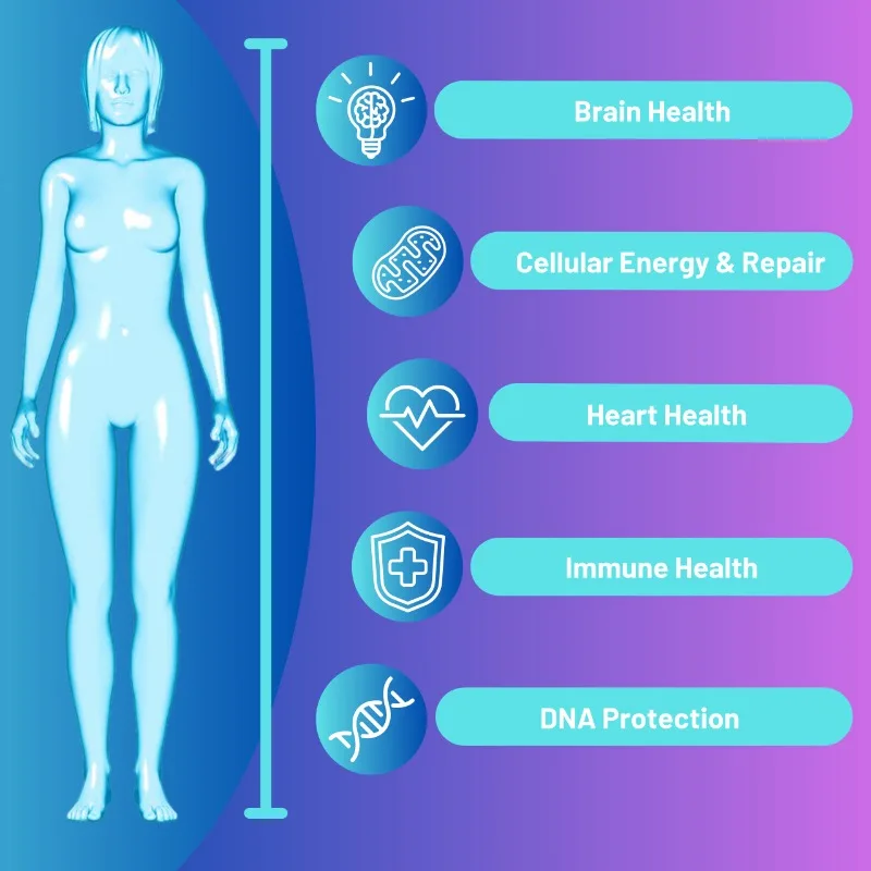 Suppléments NAD+ - avec ruban de nicotinamide et résvératrol - Anti-âge, améliore la combustion des graisses, la protection des cellules et la réparation NAD+