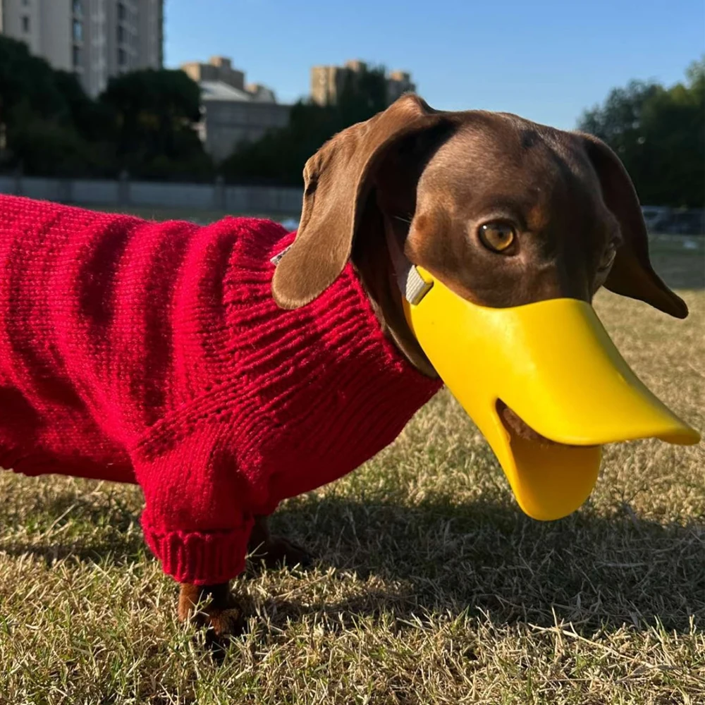 Hundemaulkorb aus Silikon in E – Dog Muzzle Silicone Bewertung und Preis