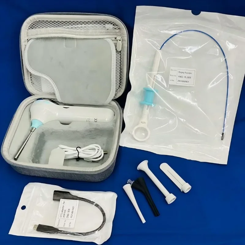 Pet Visual Otoscope Portable Cross-border English Model, Animal Hospital Ear Health Wireless Detector Manufacturer