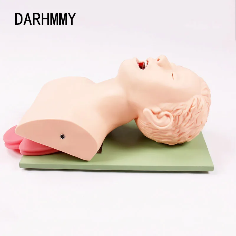 

DARHMMY Adult Electronic Human Tracheal Training Model Endotracheal Intubation Training Manikin with Tooth Pressure Alarm