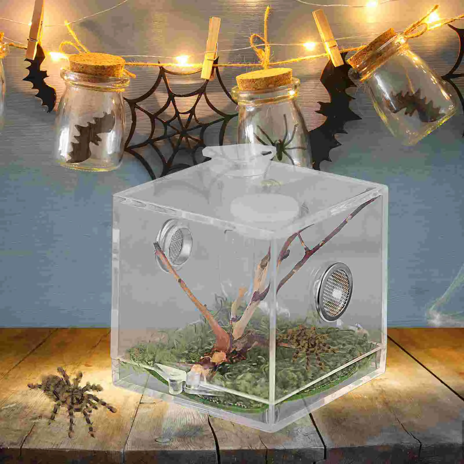 Jumping Spider Breeding Box Terrarium Pet Case Animal Reptile Container Humidifier Accessories Supply