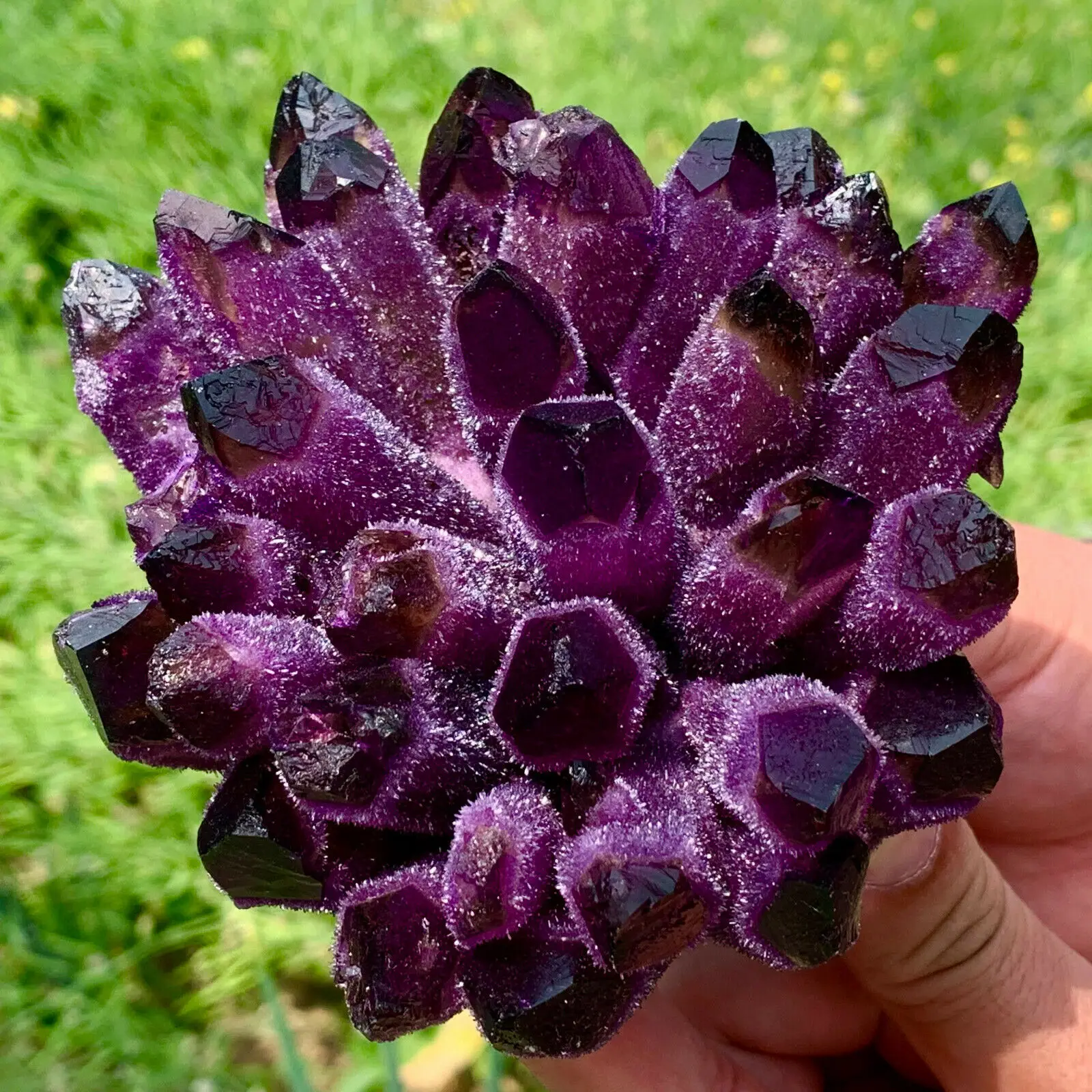 Natural Violet Ghost Phantom Quartz Crystal Cluster Healing Specimen