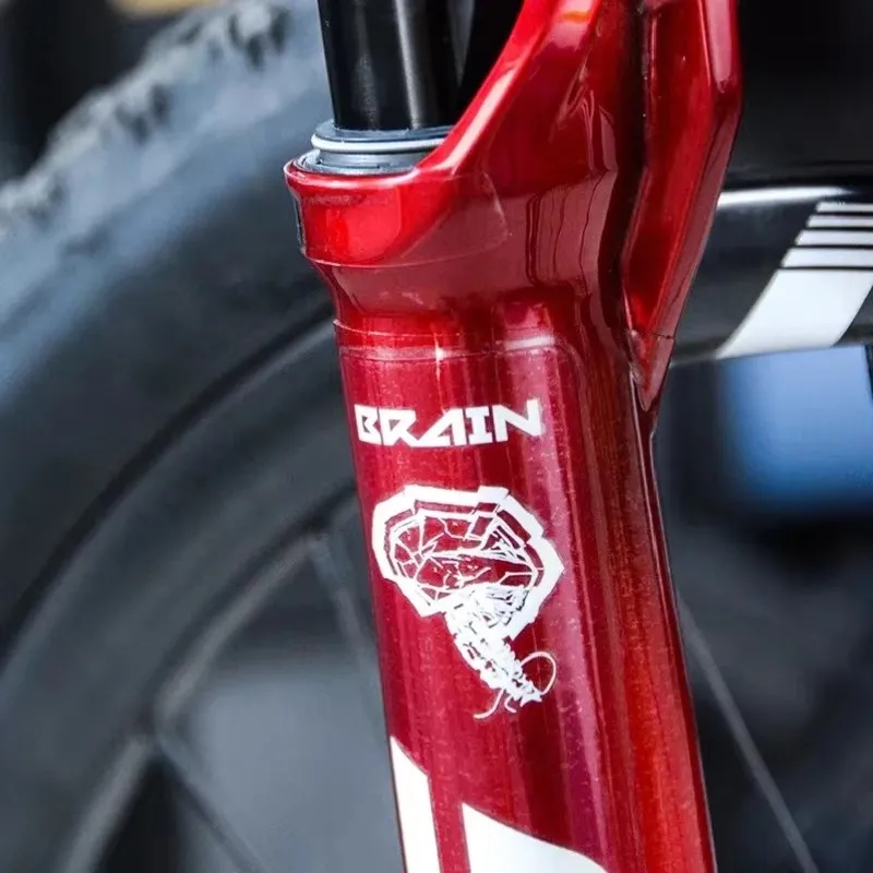 TPU Klare Schutzfolie für Vordergabel Fahrradschutz Aufkleber Kratzfeste Transparente Folie Mountainbike-Aufkleber MTB – Detail 1