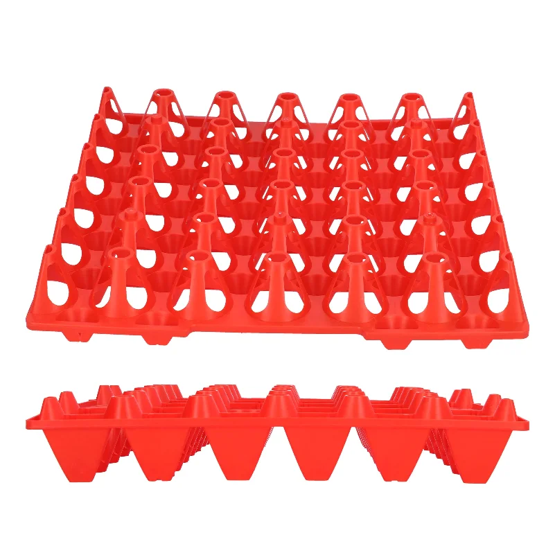 10Pcs Plastic Egg Storage Tray 11.3x11.1in 30 Cell Egg Crates Stackable Egg Holder for Storage Transportation Home Farm Supplies