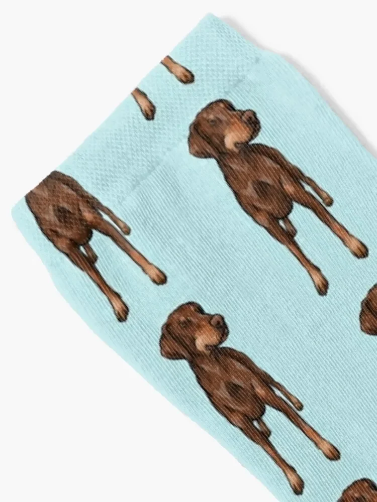 Chocolate | Red Doberman | Natural Ear | Cute Cartoon Dog Art Socks gym New year's Socks Women's Men's