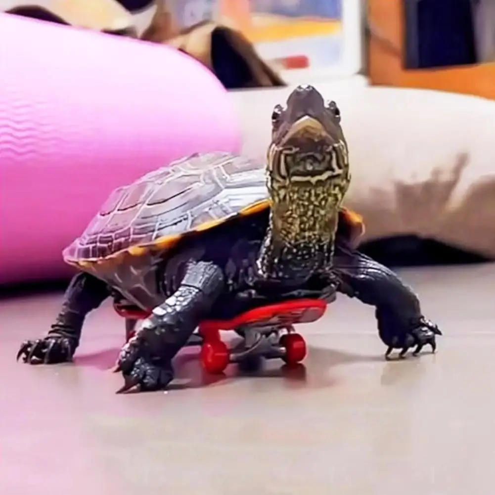 Mini Small Skateboard For Turtles Parrot Turtle Toy New Style Finger Skate Board Pet Toy
