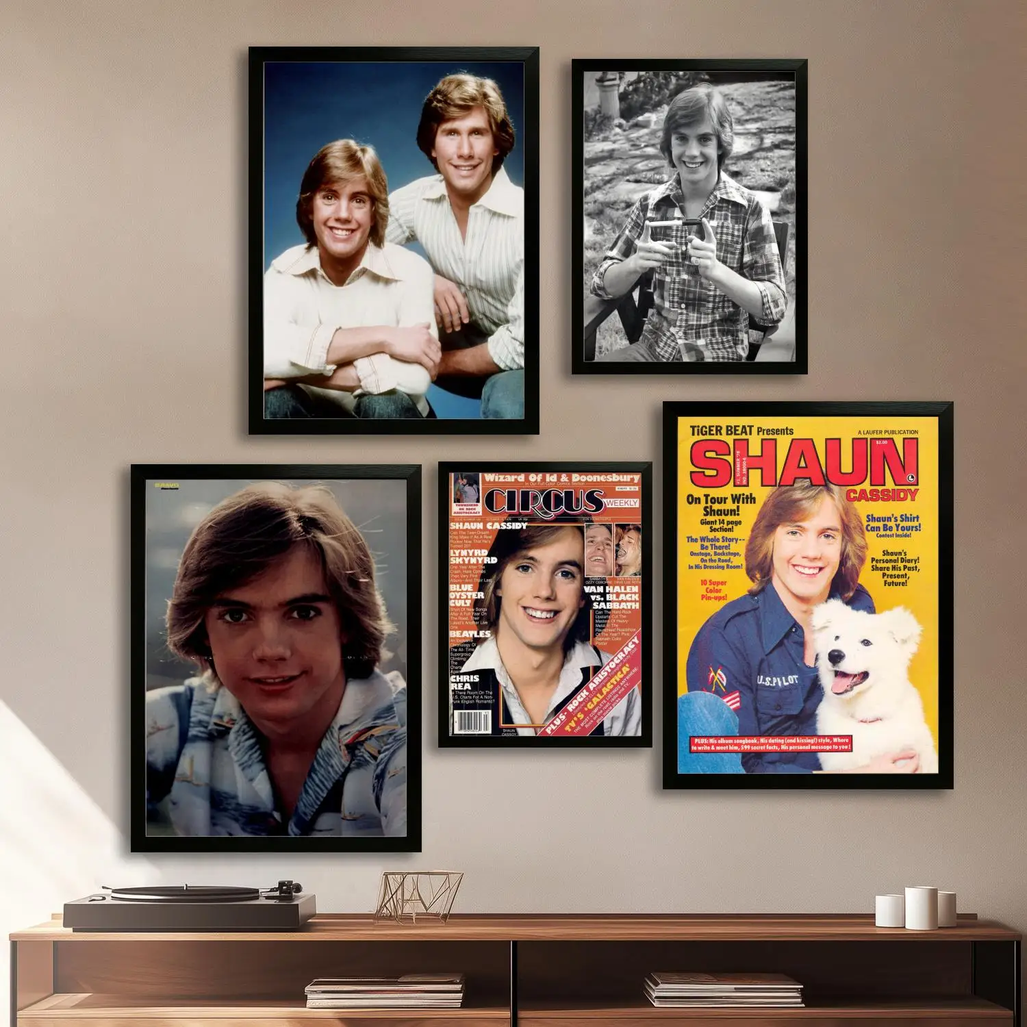 Shaun Cassidy Canvas Art Poster and Wall Art, Picture Print, Modern Family Bedroom Decor, Posters,Decorative painting