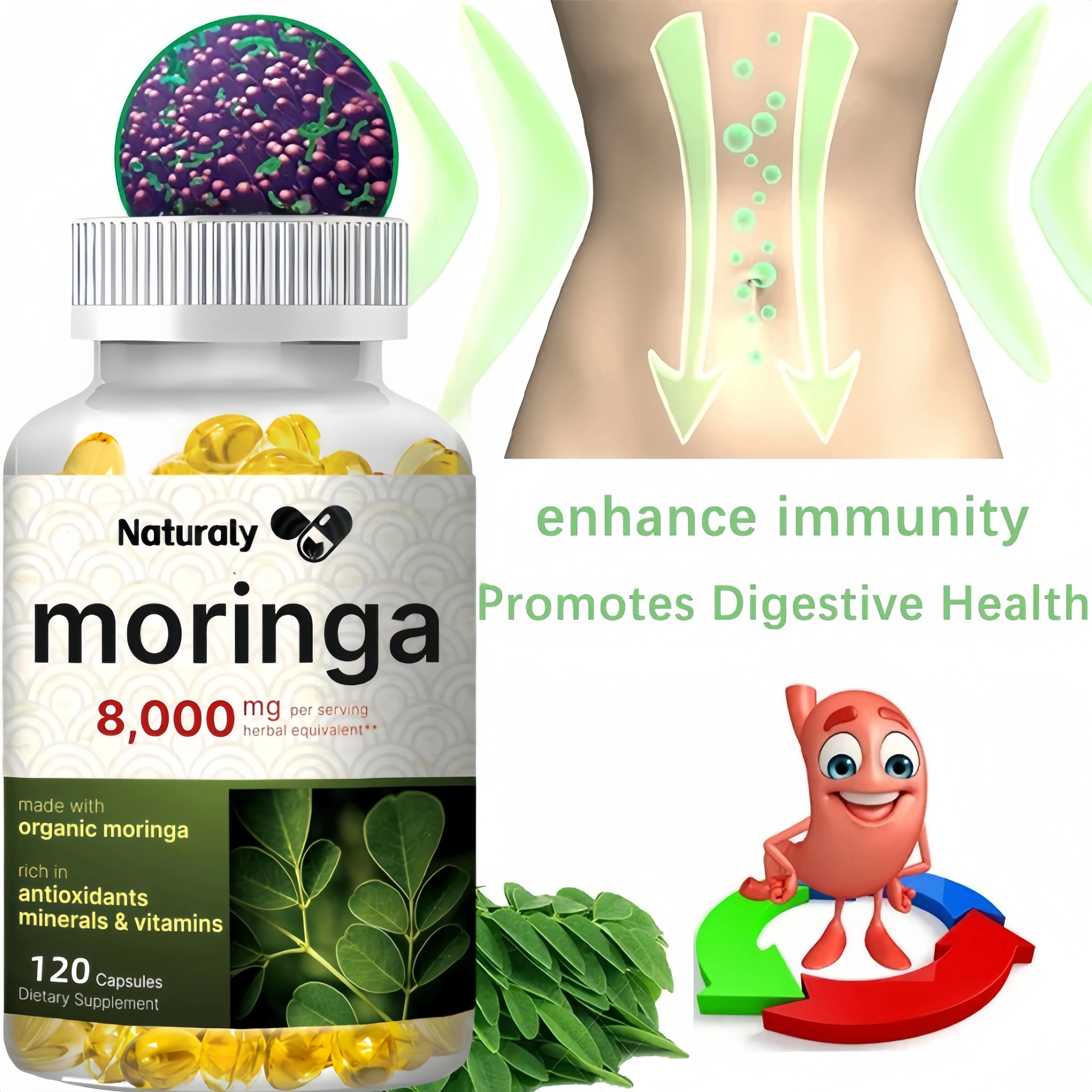 Moringa Capsules - Promote Bone, Joint, Immune Health | Enhance Energy, Endurance, Concentration