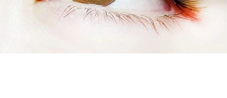 MARIA Brown 4D W-Form Einzelwimpern Bunte Wimpernverlängerung Natürlich Weich Echtes Schwarzes Nerzhaar Vorgefertigte Volumenfächer – Detail 7