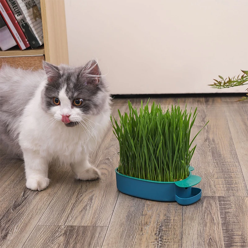 Hierarchical Design Cat Grass Cultivation Cup Reusable Catnip Soilless Growing Container Seed Germination Tray Planting Box