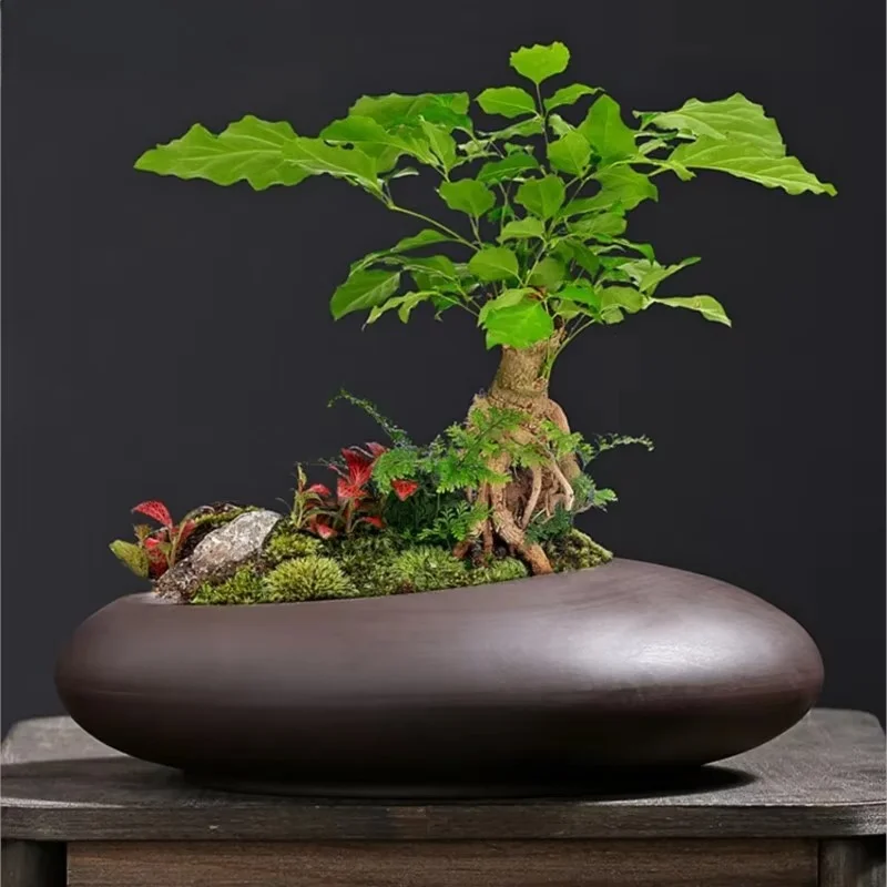 Maceta Retro arcilla púrpura para plantas, maceta estilo chino, florero transpirable, decoración de escritorio