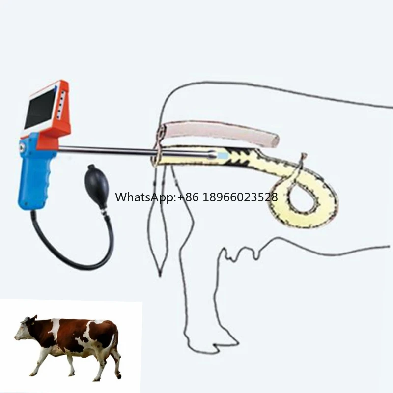 

Визуальный Регулируемый пистолет для искусственного осеменения коровы с камерой пистолет для искусственного осеменения