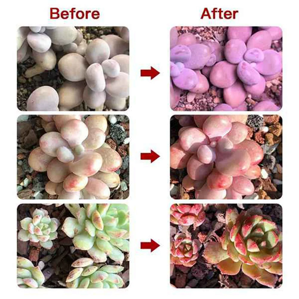 

ХОРОШИЙ светодиодный светильник для выращивания комнатных растений, настольный светильник полного спектра с клипсой для цветущей рассады, регулируемый