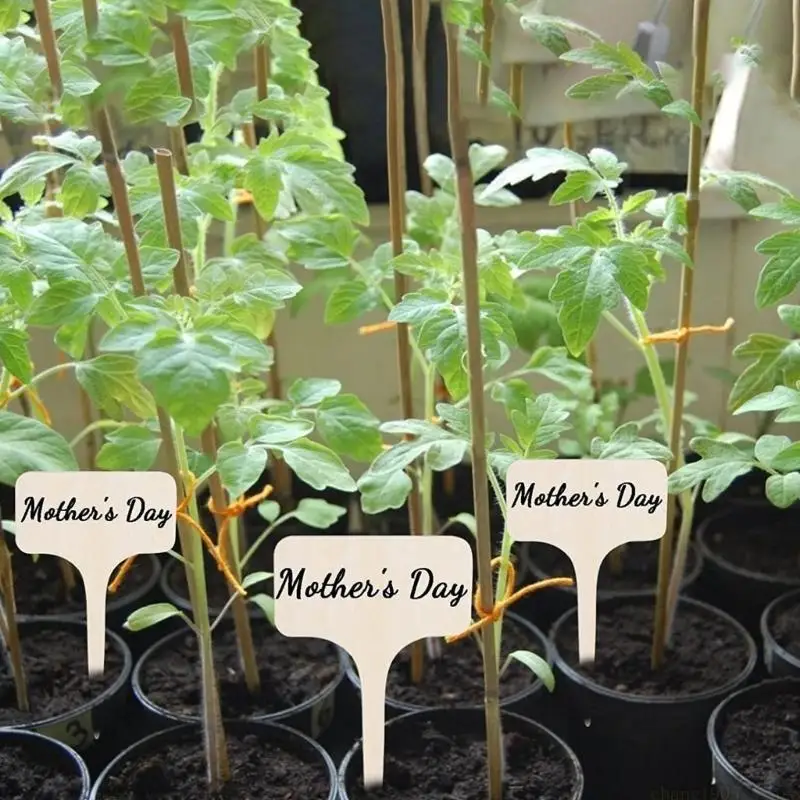QX2E Plant Identification Garden Marker Cards Plant Sign Labels Labels for Garden Plant
