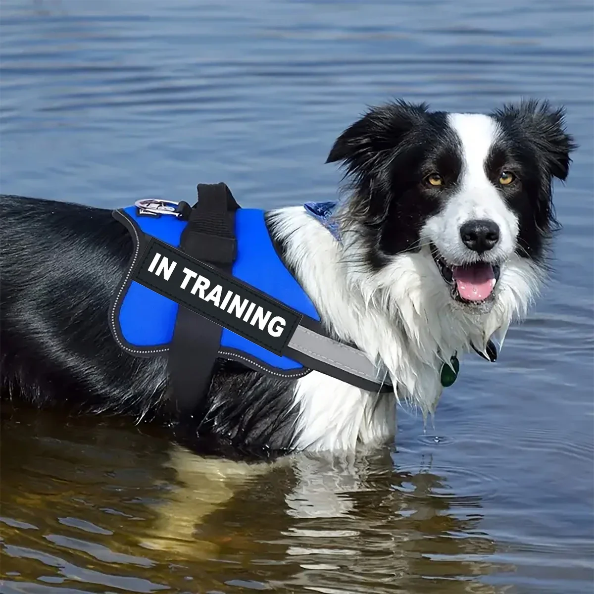 1 set-Adjustable Dog Harness Pet Harness Reflective Breathable Vest For Small Large Dog NO PULL Accessories Training Supplies