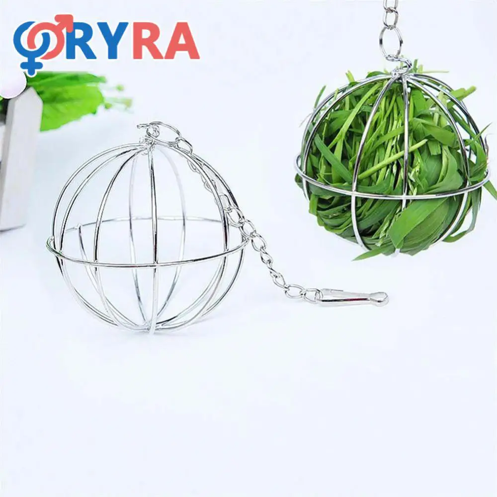 Feed Dispenser Ball Stainless Steel Reusable 8cm Dutch Pig Pet Toy Rabbit Grass Ball Dragon Ceiling Hook Chinchilla Pet Supplies