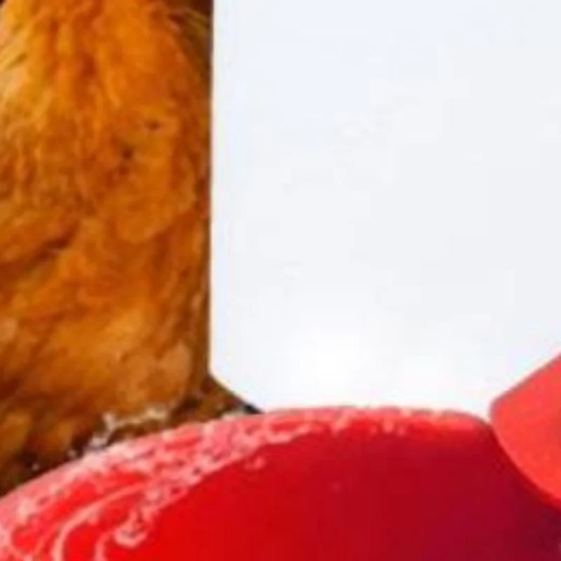 1/2 Pcs Chicken Drinking Bowl Drinking Water Quail Poultry Automatic Water Dispenser Duck Pigeon Free Range Chicken Farm Suppli