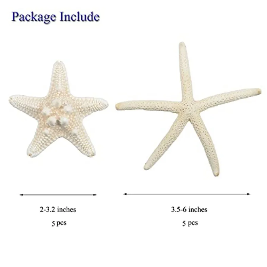 12 PCS Starfish 2-6 Inch Mixed Starfish Natural Seashells Starfish Star Fish Shells Decorations Perfect for Wedding Decor Beach