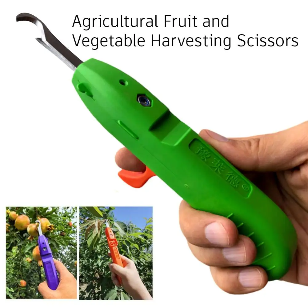 3 colors Picking Shear,Pruning Scissors For Pepper Grape Flower Harvest Garden Tool,Multi-Purpose Fruit Picking Shears Tools