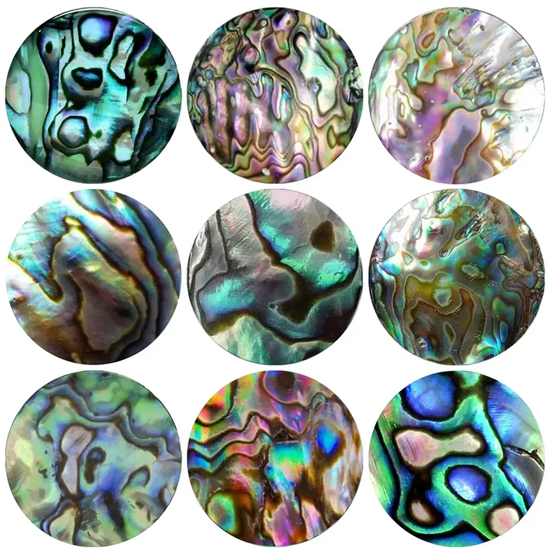 New Seashell abalone paua 2-10pcs 12mm/14mm/16mm/18mm20mm//25mm Round photo glass cabochon demo flat back Making findings