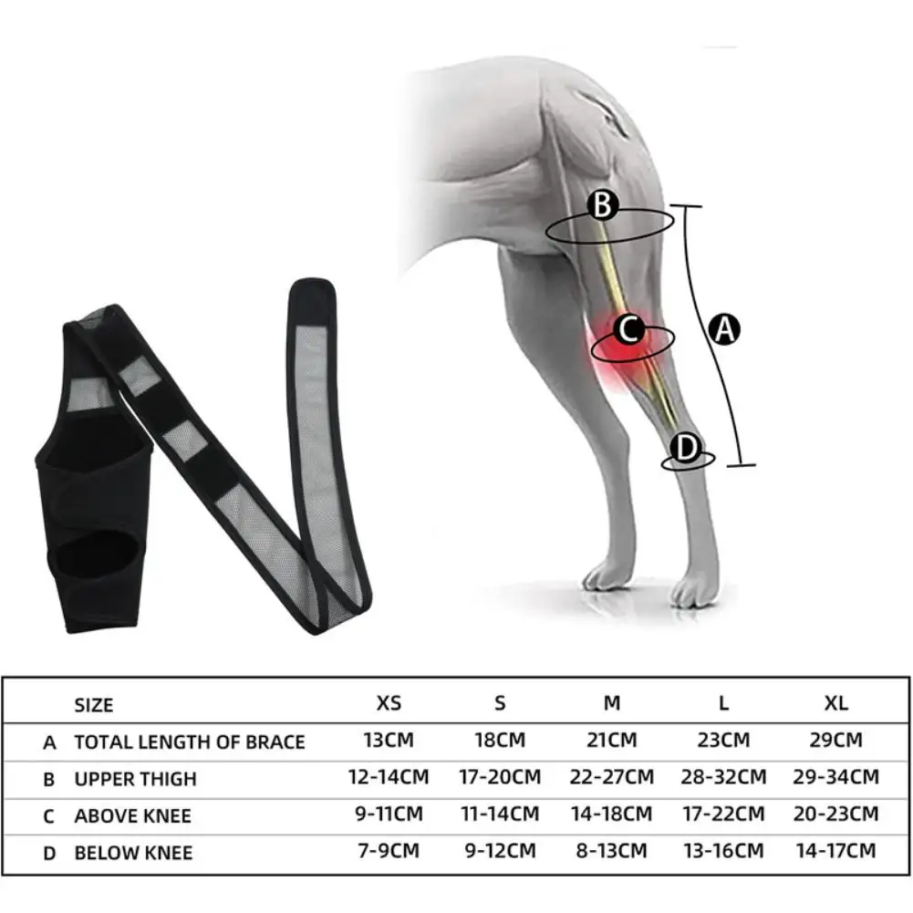 Pet Dog Knee Brace For Joint Pain Muscle Sore Leg Brace Rear Leg Bracer Support For Elderly Disabled Injured Dogs