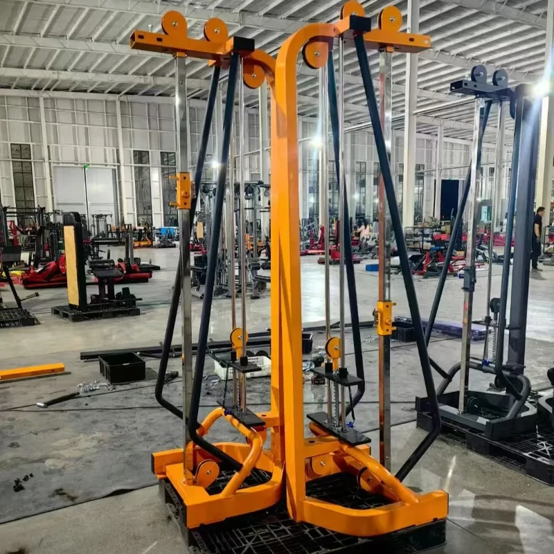 

l # Sports Equipment Strength Training Exercise Pin Loaded Dual Function Seated Lat Pulldown Low Row Machine