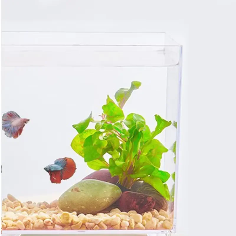 Factory Wholesale Small Fish tank Home Table Desktop Acrylic High Transparency Abs Plastic square Aquarium tank Without Cover