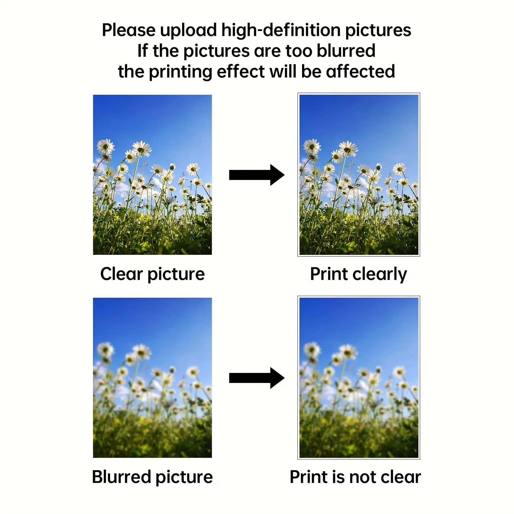 مخصص طباعة قماش اللوحة بواسطة صورتك قماش المشارك هدية شخصية تخصيص الشكل الحيوان الحيوانات الأليفة صور ديكور المنزل يطبع #5