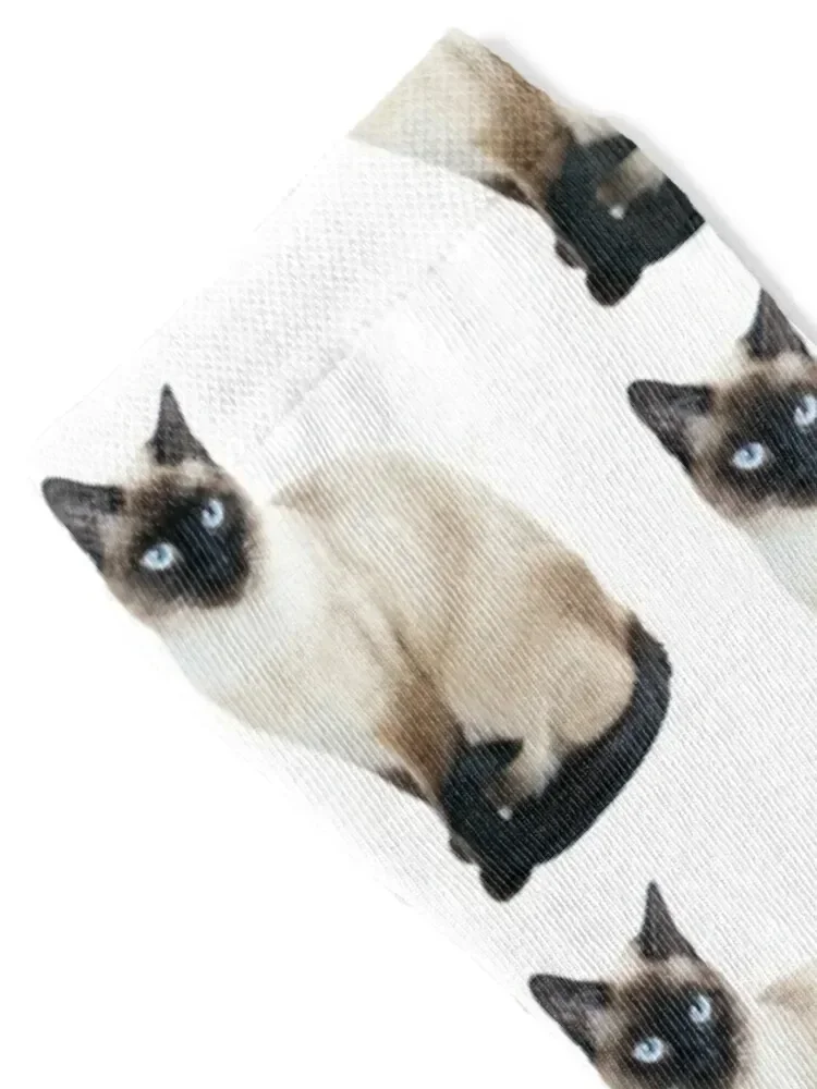 Siamese Cat Portrait Socks luxury new in's man anime Mens Socks Women's