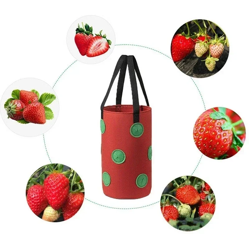 Fabric Flower Bag for Strawberry Growing Plant Pot Wall Hanging Planter Vertical Vegetables Potatoes