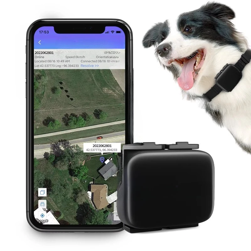 Anti Lost 4G Wireless Mini IP67 Waterproof Location Collar 4G Pet Tracker GPS for Dog Cat Animal