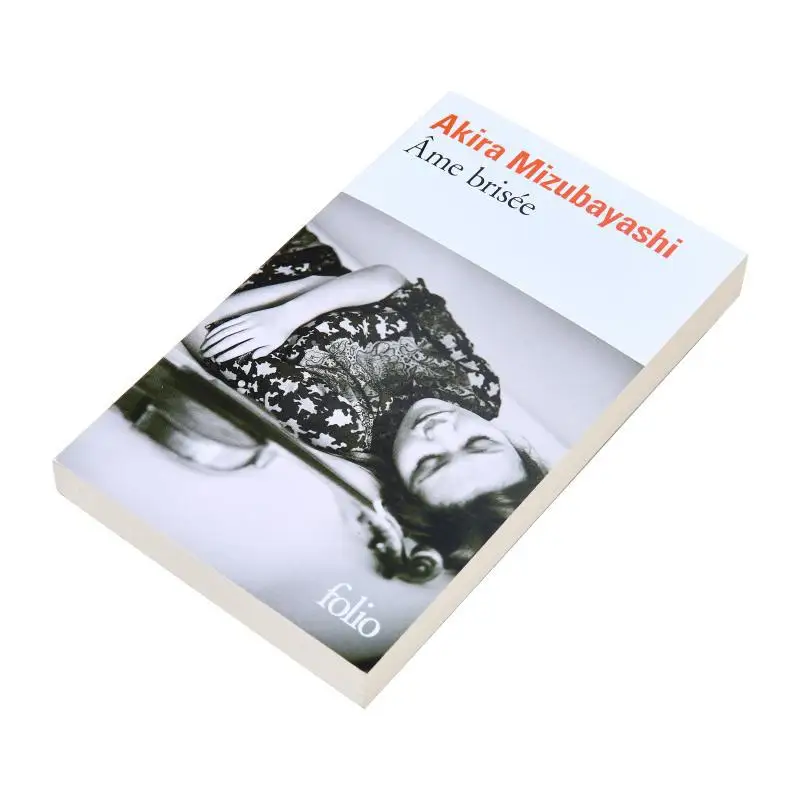 الروح المكسورة أكيرا ميزوبياشي جاليمارد 9782072921216 كتاب