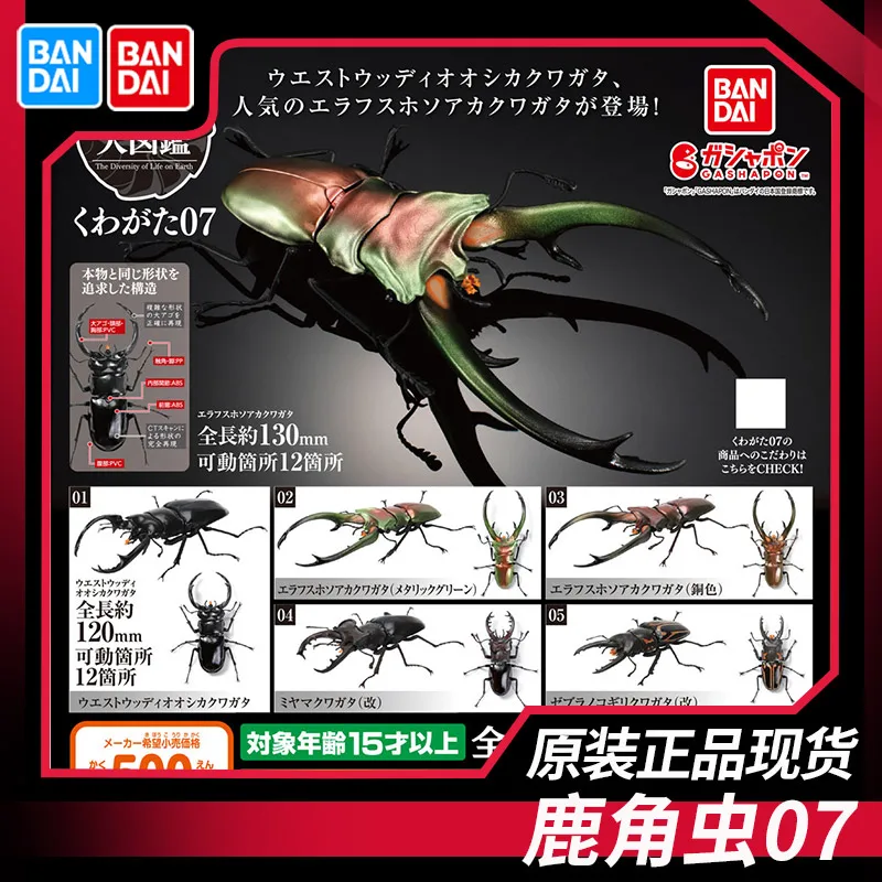 

BANDAI аниме биологическая энциклопедия длинный рогатый жук Coleoptera Gashapon рождественские подарки натуральная экшн-фигурка модель игрушки