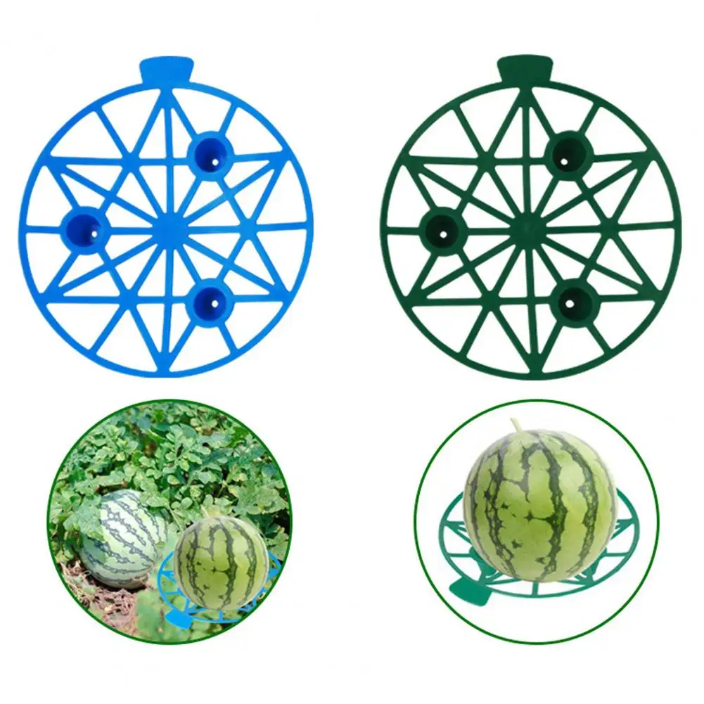 مهد البطيخ للبستنة مهد البطيخ طويل الأمد مهد البطيخ حامل اليقطين حامل البطيخ لمزرعة الحديقة للصحة #6