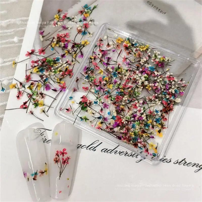 Nail Art Dried Flower Accessories 3D Small Fresh Mixed Color Petals Natural Real Flower Nail Decals Decoration Materials