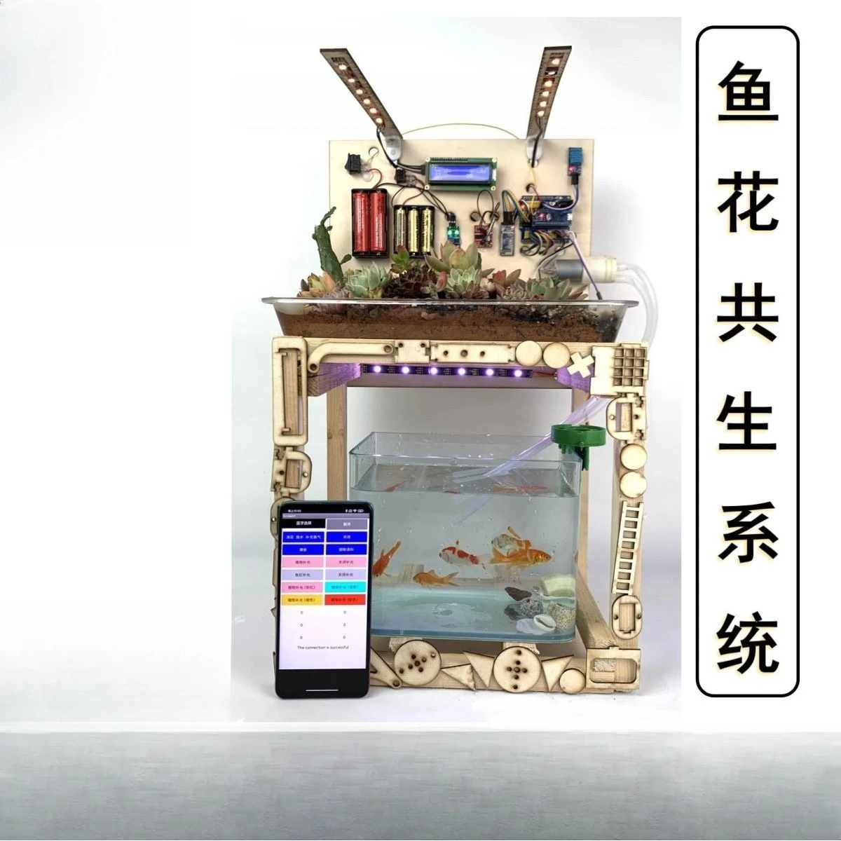 Fish and flower symbiosis system DIY technology small production materials, creative small inventions