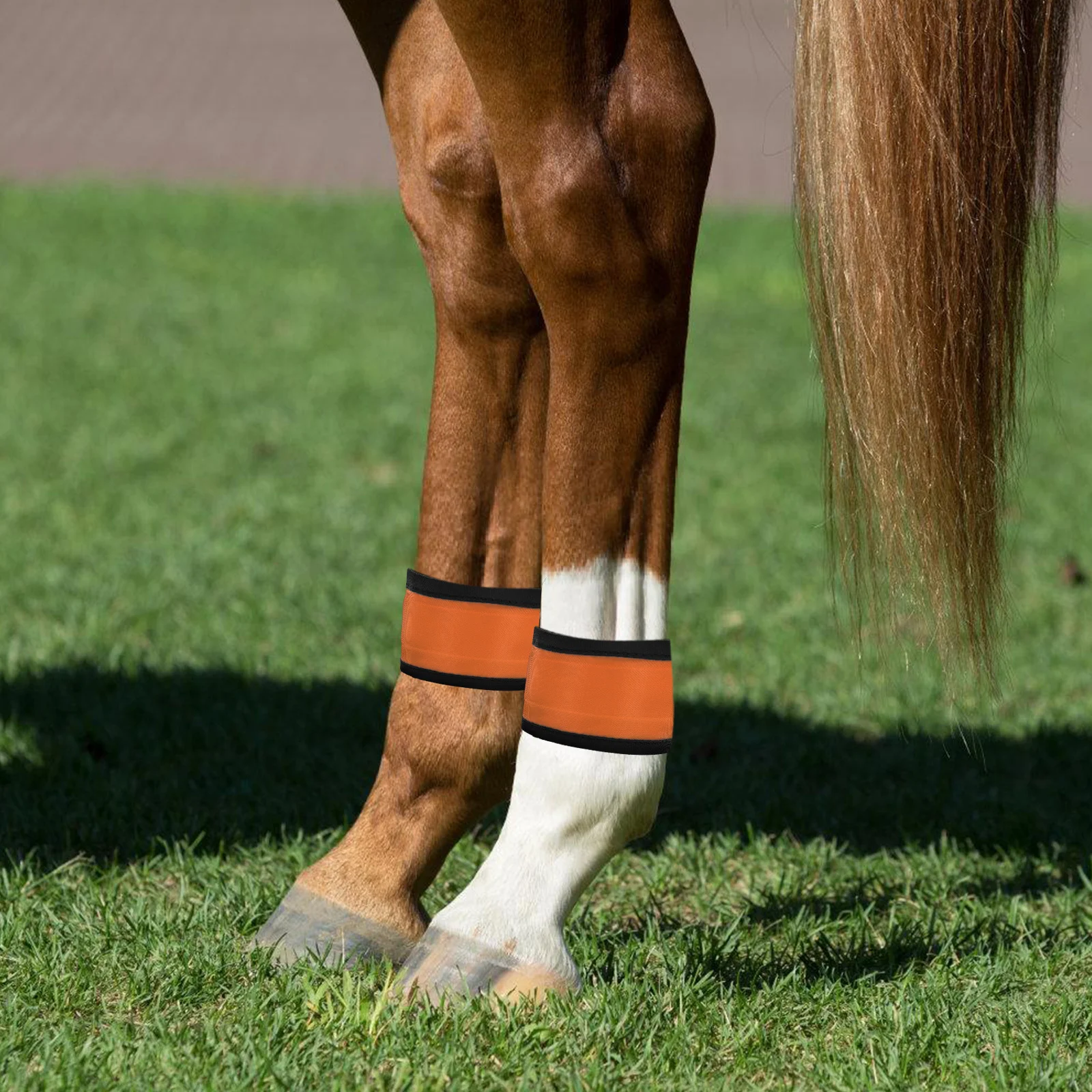 4 قطعة LED الحصان الساق الفرقة ليلة السلامة عالية الوضوح ركوب الفروسية والعتاد الأشرطة العاكسة لركوب الخيل المسائية #3