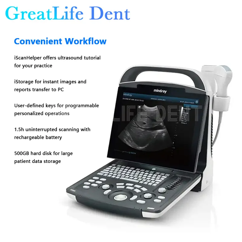 GreatLife Dent Mindray DP-10 Black and White Portable B-ultrasound Therapy Scanner Machine Abdominal Probe 35C50EB