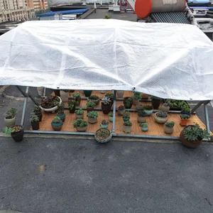 شفافة PE القماش المشمع حديقة سقيفة النباتات الحفاظ على دافئة مصبغة ، قماش مقاوم للماء ، غطاء المطر نوافذ الشرفة ، مظلة مقاومة للماء ، 0.33 مم أفضل 8 قماش مشمع لمبيعات الشرفات - رقم 7