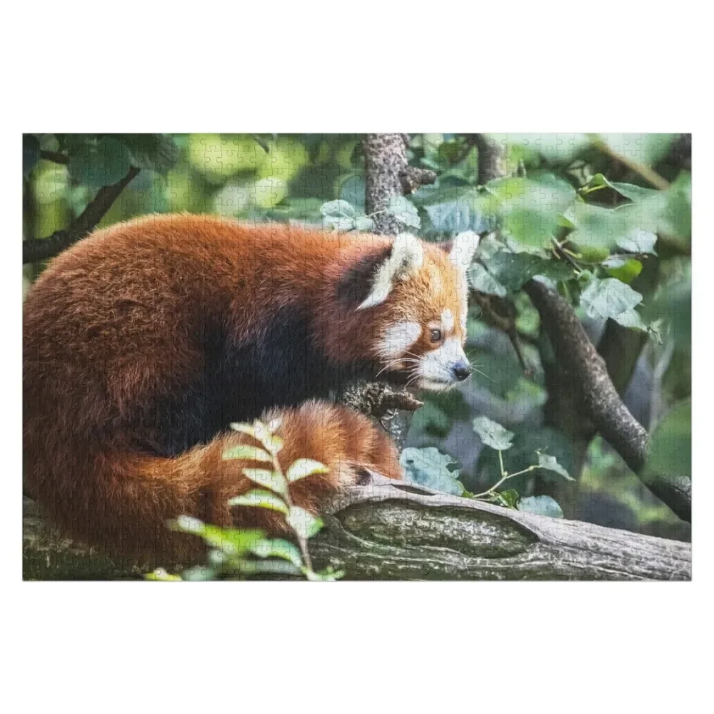 

Red Panda in Tree Forest Wildlife Panda Fox Jigsaw Puzzle Anime Personalised Name Puzzle