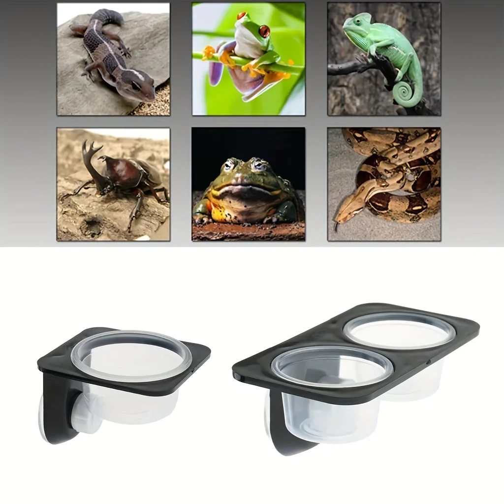 Reptile dual-purpose water basin, food basin, pet supplies