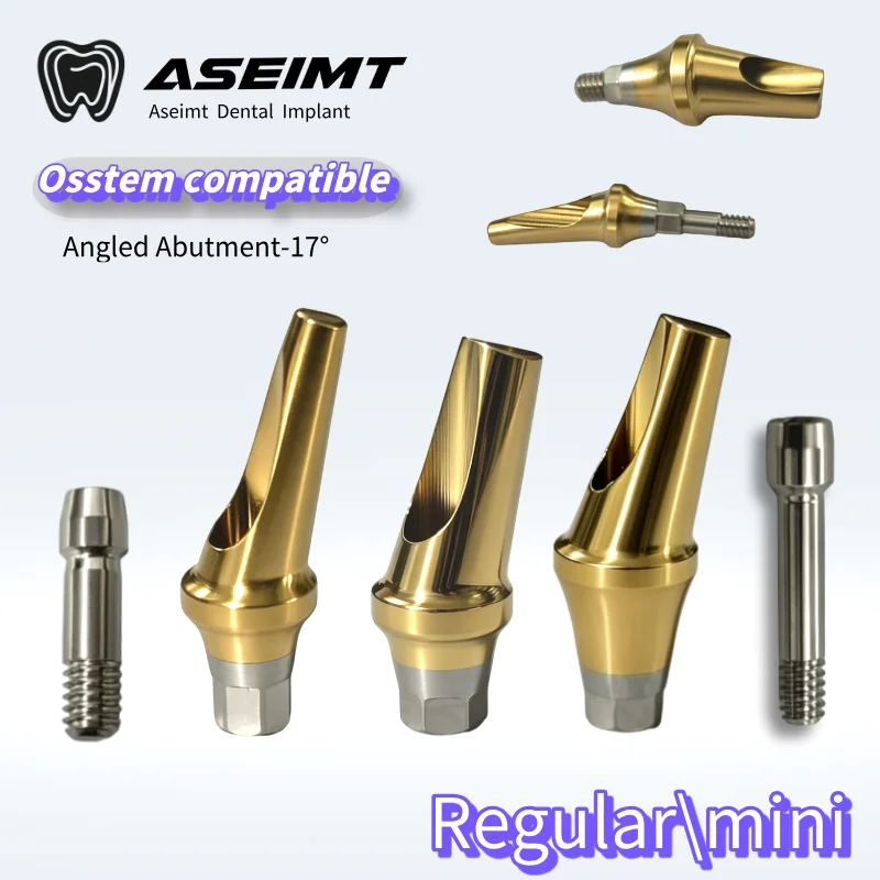 

Dental For Osstem Angled Abutment 17 Degree a Type B Type Titanium Abutment for TS III Implant System Stock Ready Ship factory